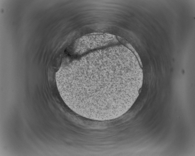 X0000081470044200702092351