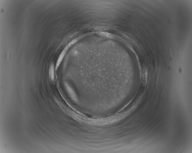 X0000081470046200702092351