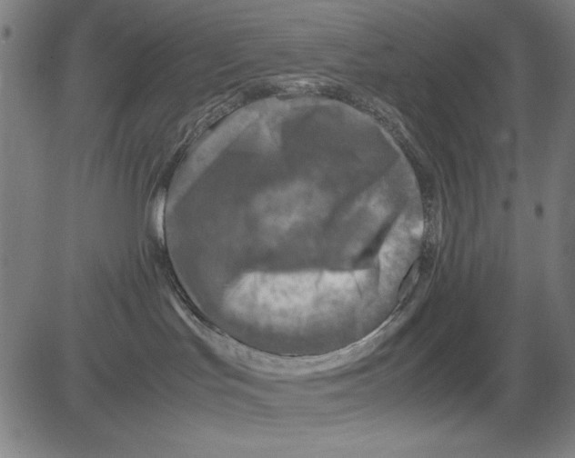 X0000081470047200702092351