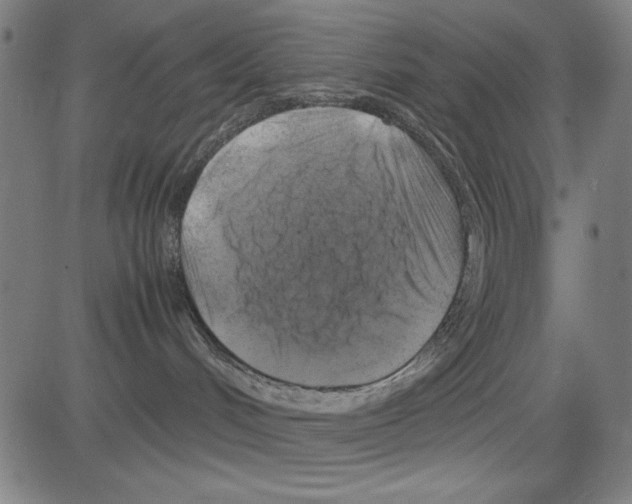 X0000081470048200702092351