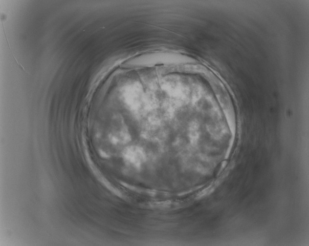 X0000081470049200702092350