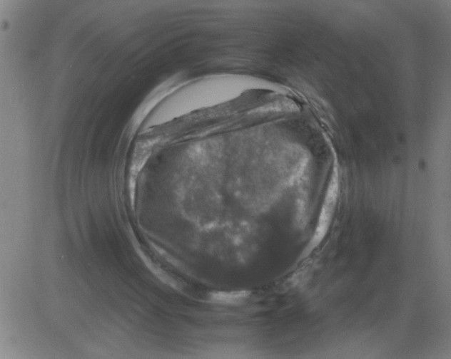 X0000081470051200702092350