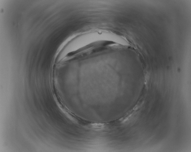 X0000081470052200702092350