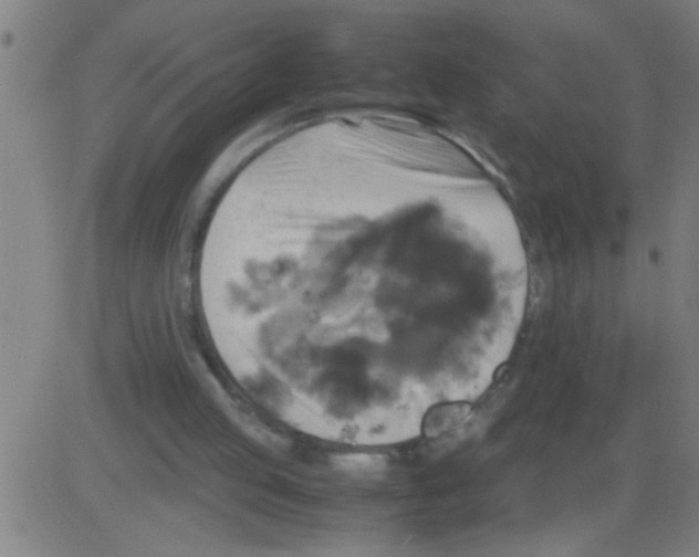 X0000081470053200702092350