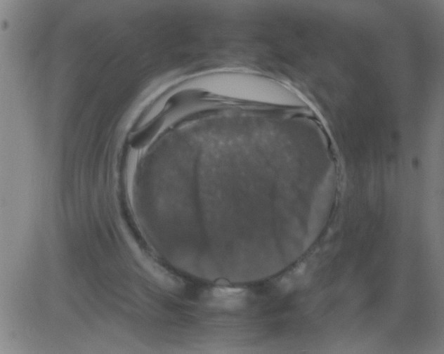 X0000081470055200702092350