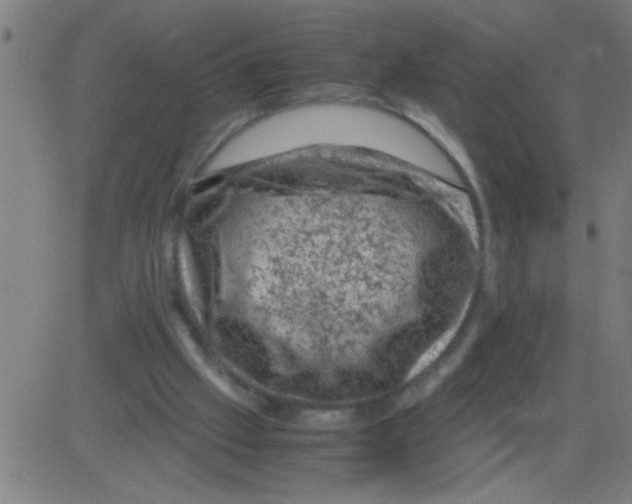 X0000081470057200702092350