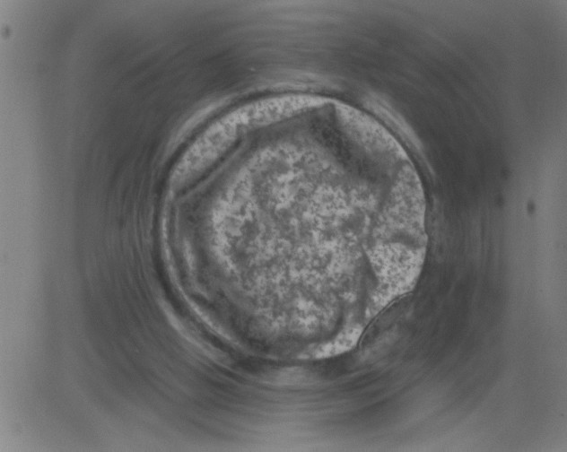 X0000081470058200702092350