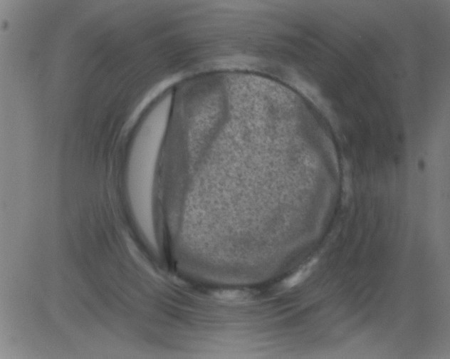 X0000081470060200702092350