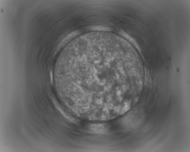 X0000081470061200702092350