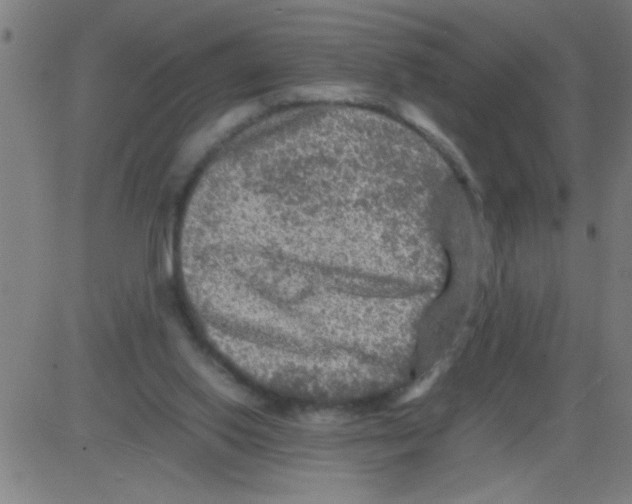 X0000081470062200702092350