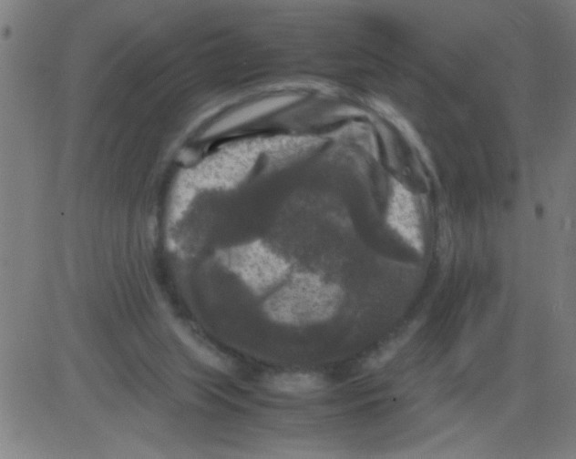 X0000081470063200702092350