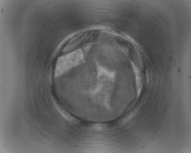 X0000081470064200702092350