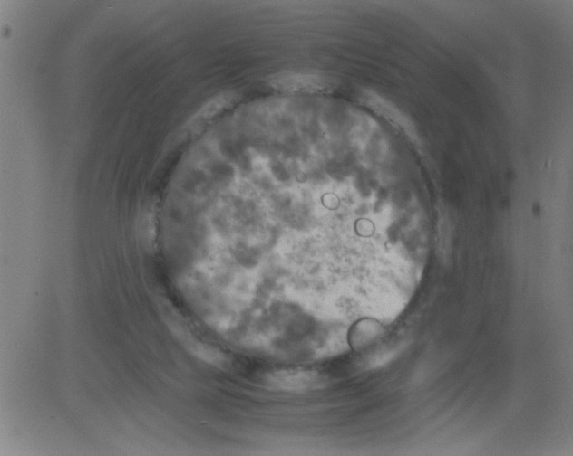 X0000081470065200702092350