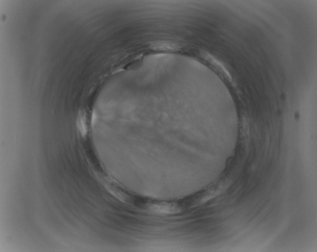 X0000081470069200702092350