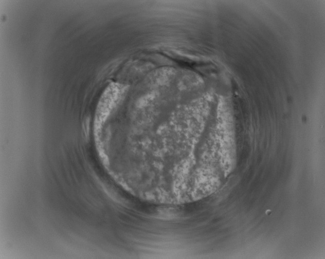 X0000081470070200702092350