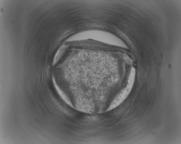 X0000081470071200702092350