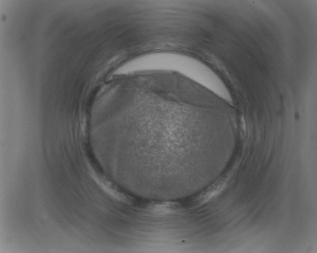 X0000081470072200702092350