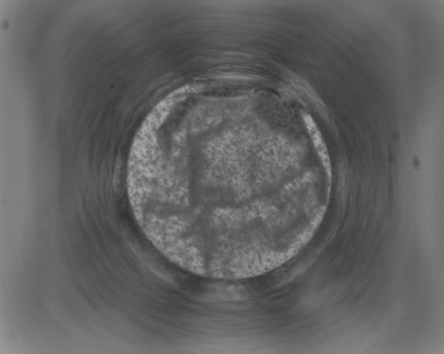 X0000081470073200702092350