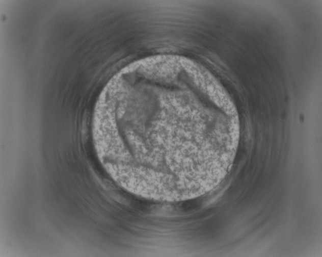 X0000081470074200702092350