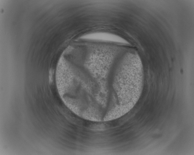 X0000081470075200702092350