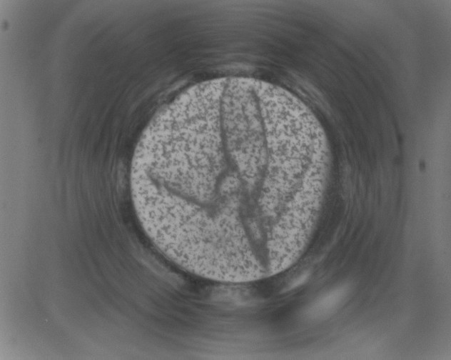 X0000081470077200702092350