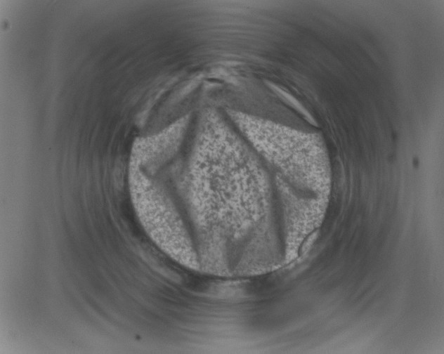 X0000081470078200702092350