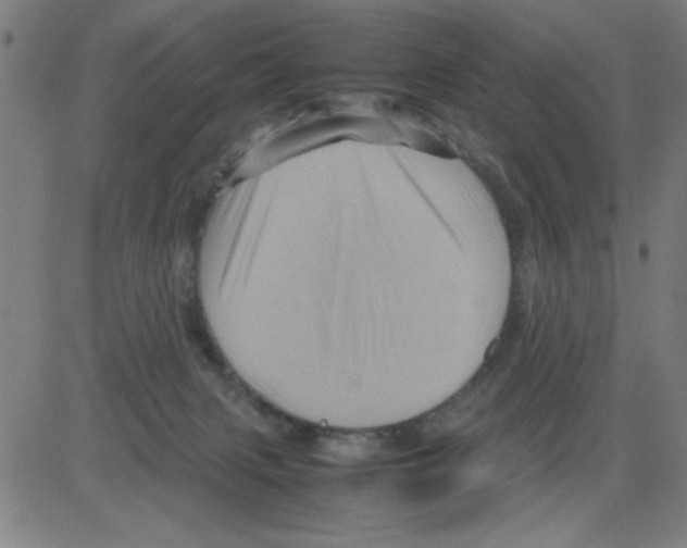 X0000081470079200702092350