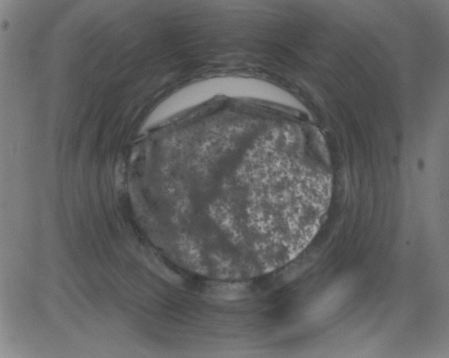 X0000081470081200702092350