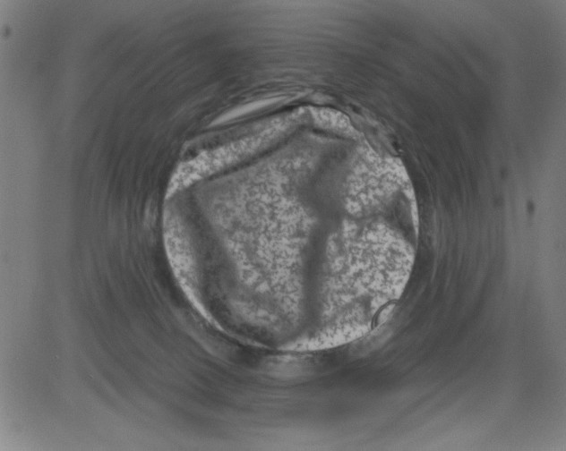 X0000081470082200702092350