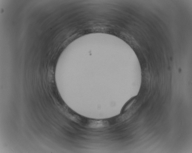 X0000081470083200702092350