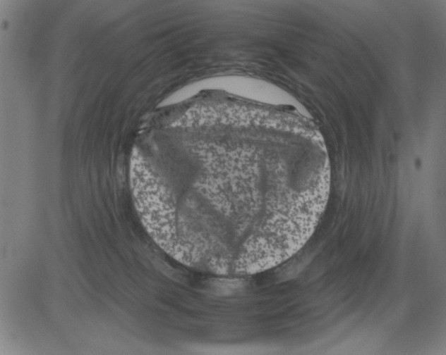 X0000081470085200702092350