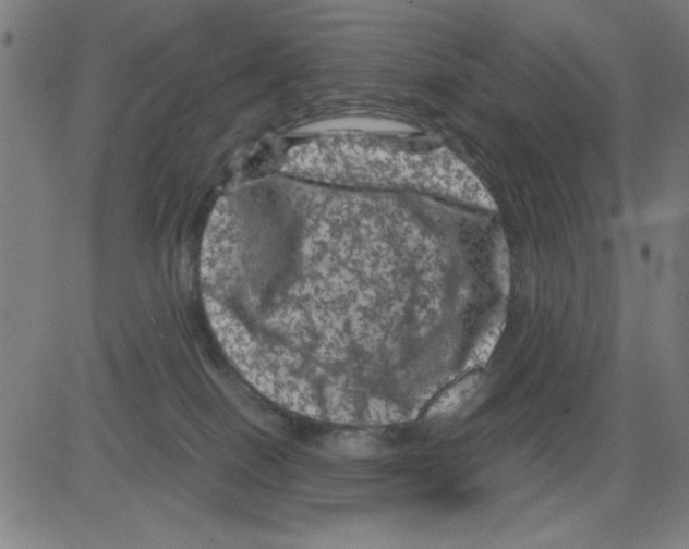 X0000081470086200702092350