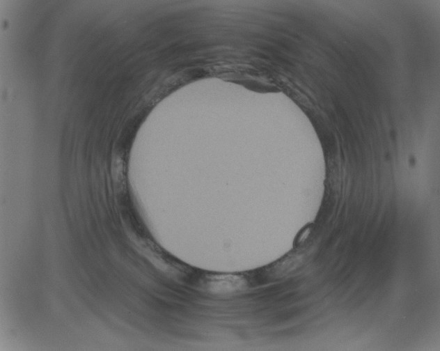 X0000081470087200702092350