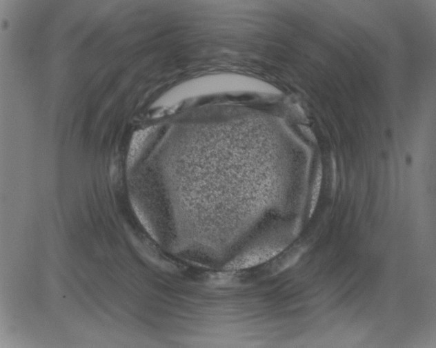 X0000081470088200702092350