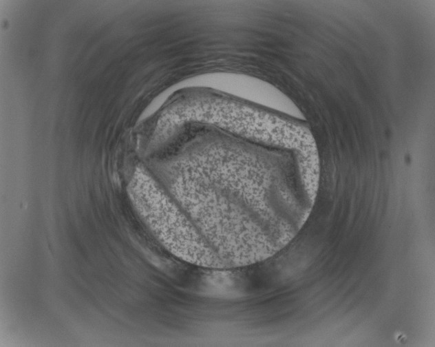 X0000081470091200702092351