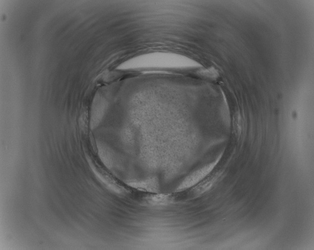 X0000081470092200702092351