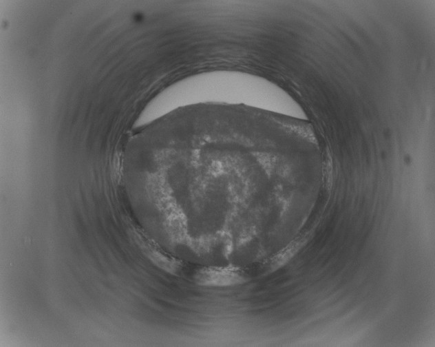 X0000081470093200702092351