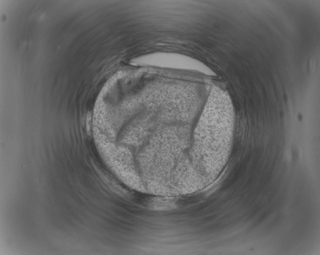 X0000081470094200702092351