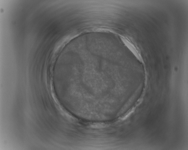 X0000081470097200702092350