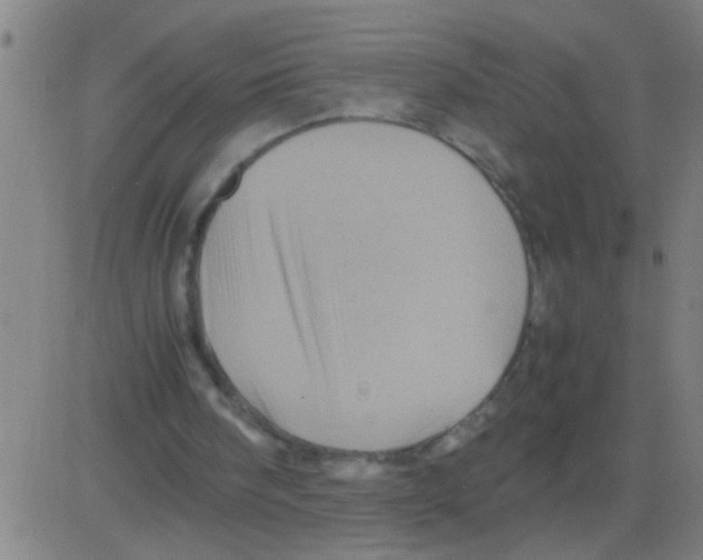 X0000081470098200702092350