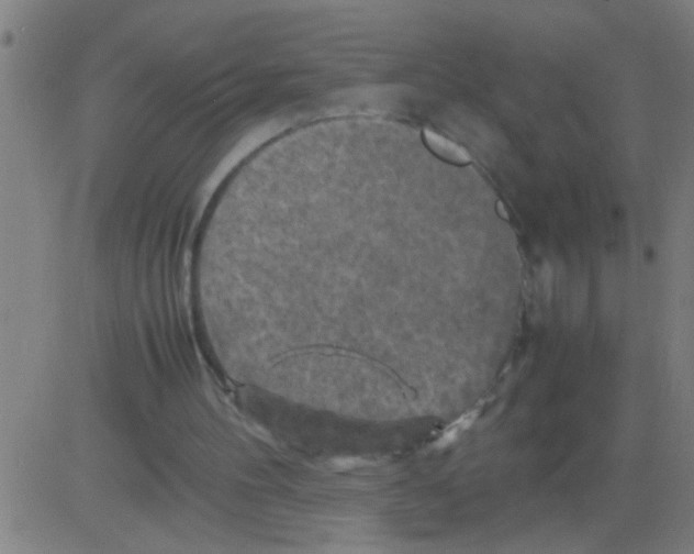 X0000081470100200702092350