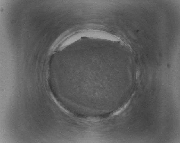 X0000081470101200702092350