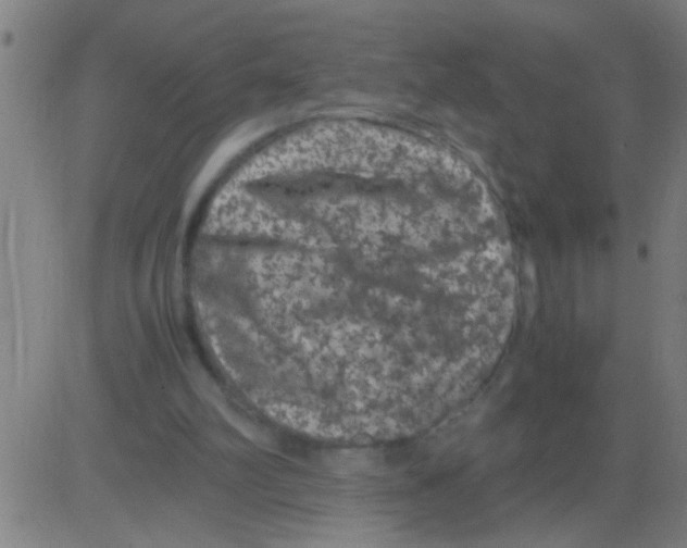 X0000081470102200702092350