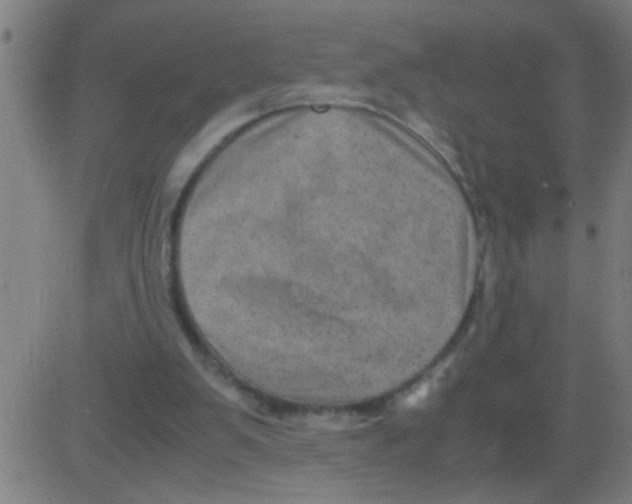 X0000081470103200702092350