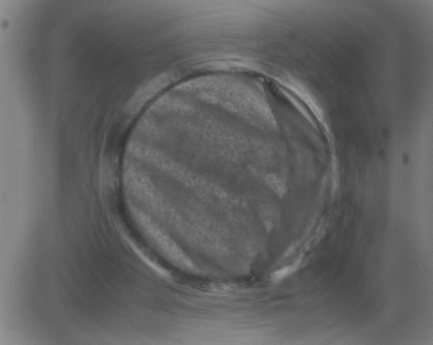 X0000081470105200702092350