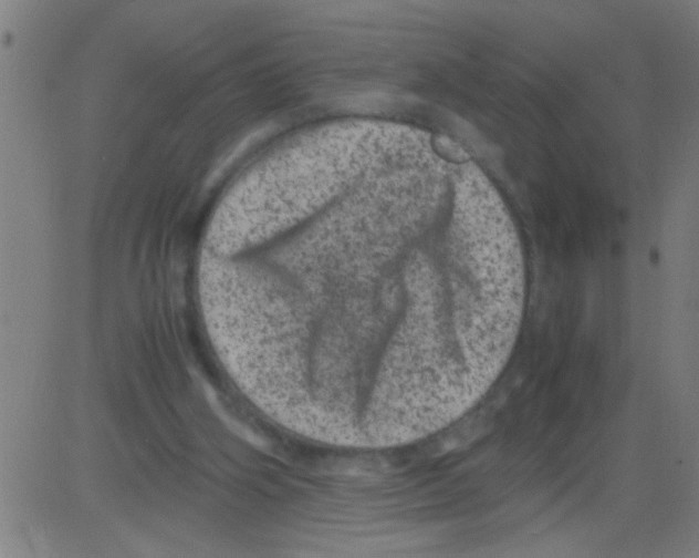 X0000081470106200702092350