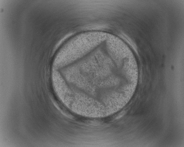 X0000081470107200702092350