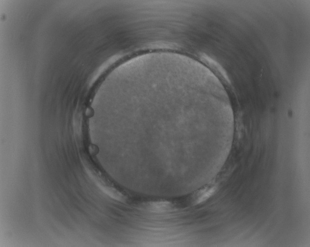 X0000081470108200702092350