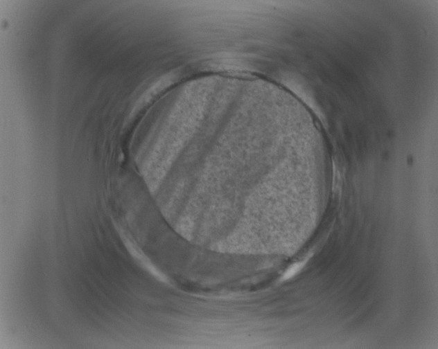 X0000081470109200702092350