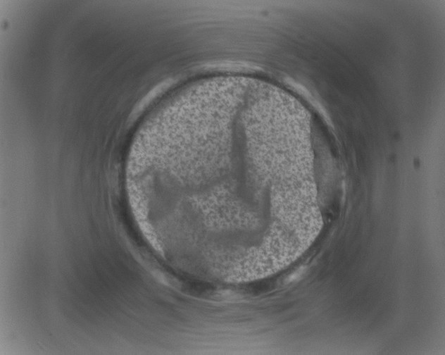 X0000081470111200702092350